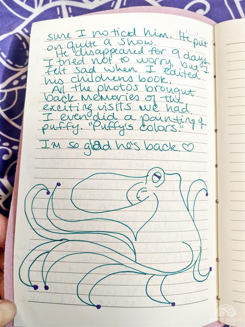 Journal entry about Puffy 2